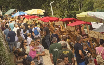 TRADICIONALNI UČKARSKI SAMANJ ODRŽAT ĆE SE 1. RUJNA NA POKLONU