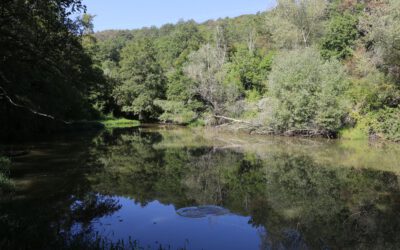 Pogledajte kratki film o lokvama: Lokve jučer i danas